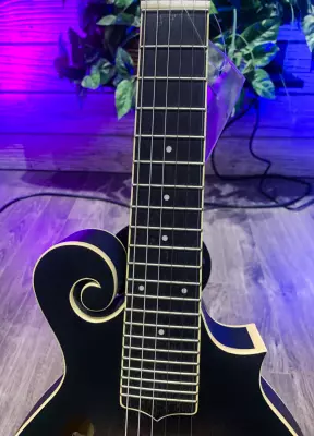 Gold Tone - F-6 6-String F-style Mando-Guitar 4